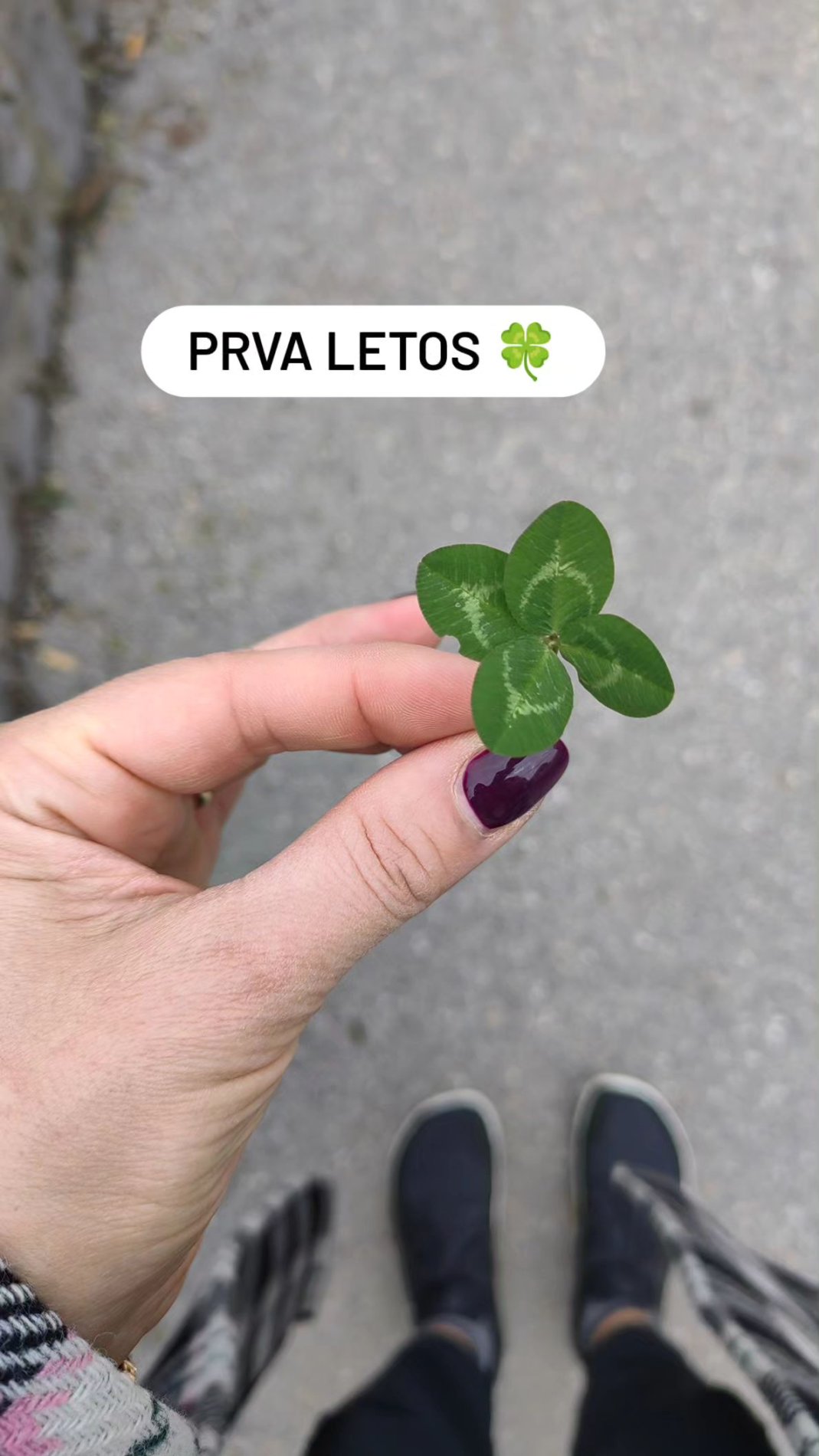 Alenka je našla štiriperesno deteljico. Vir: Instagram