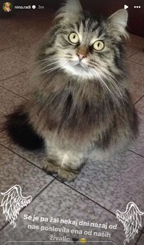 Nina Radi je povedala, da je se je poslovila od mačke. Vir: Instagram