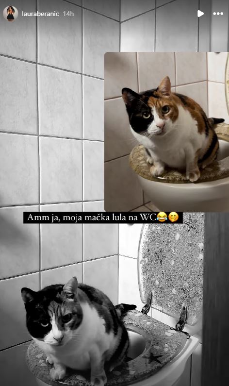 Mačka Laure Beranič uporablja stranišče. Vir: Instagram