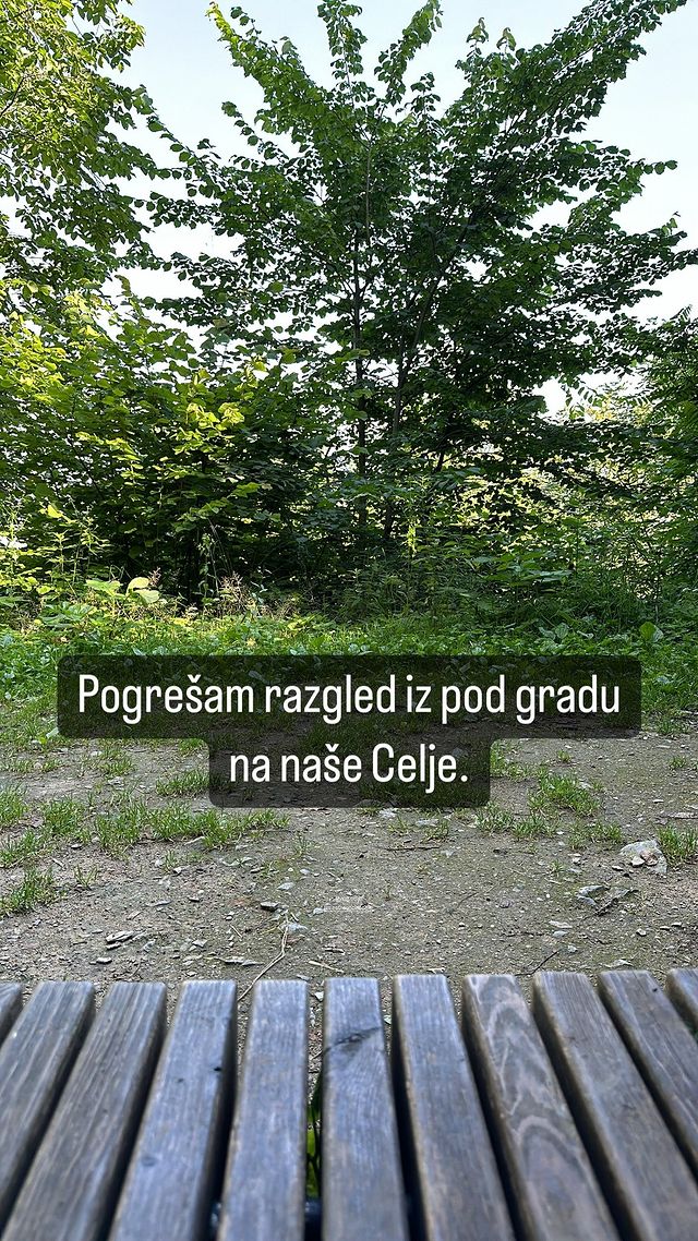 Darja Gajšek ga odkrito pogreša