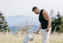 Nihče ni pričakoval teh dveh znanih voditeljev skupaj