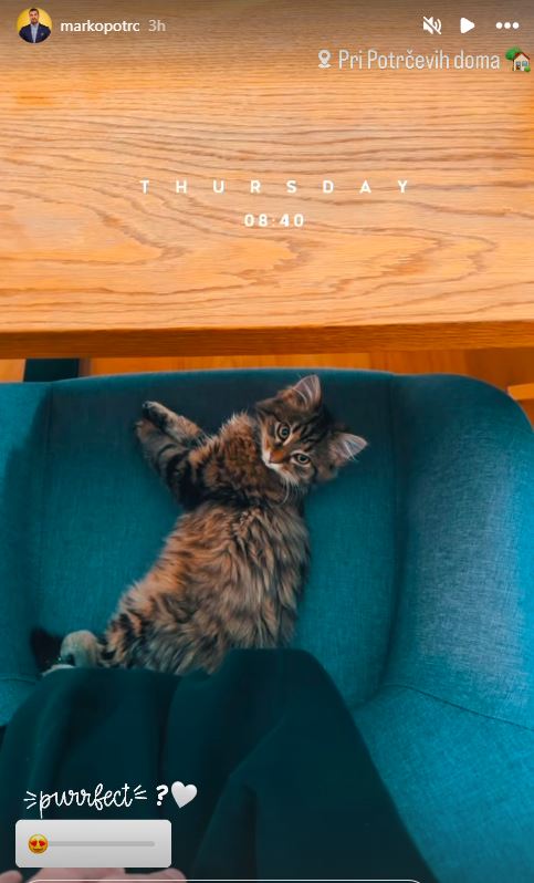 Marko Potrč je pokazal ljubko mucko. Vir: Instagram