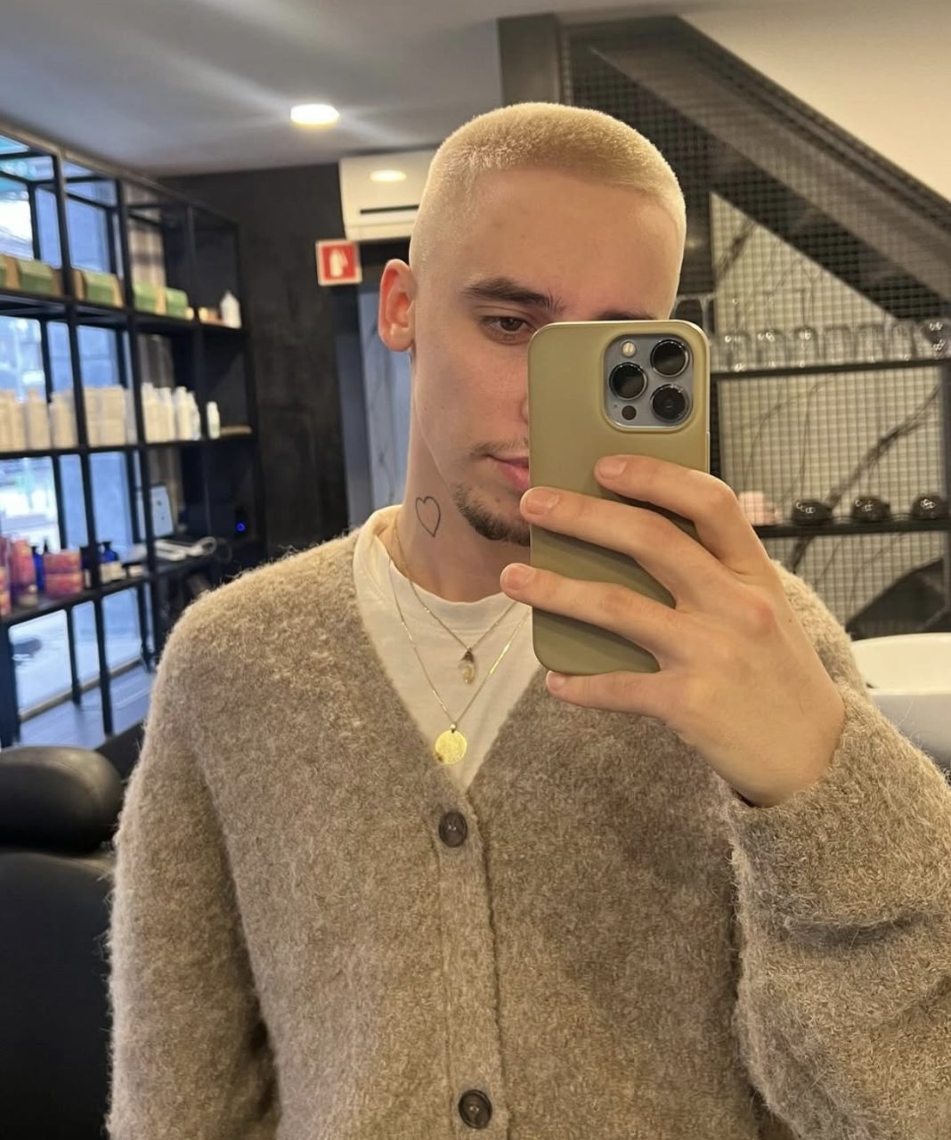 anej piletič