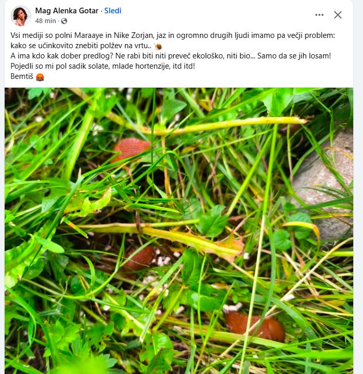 Alenka Gotar se je potožila. Vir: Facebook.com
