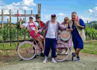 Agropop nova pesem