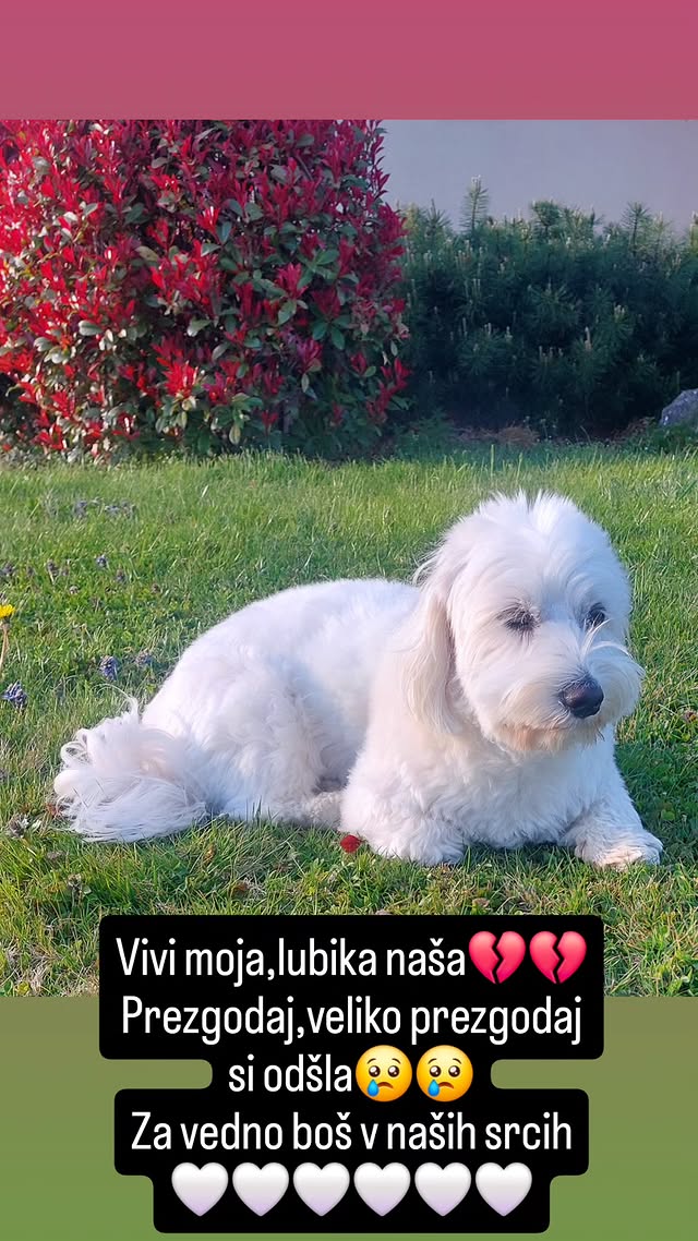 Nuša Derenda se poslavlja od svoje psičke