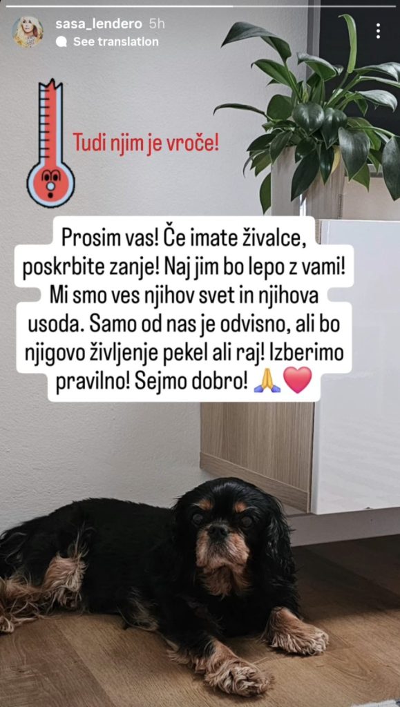 Ne pozabite na njih. Vir: Instagram