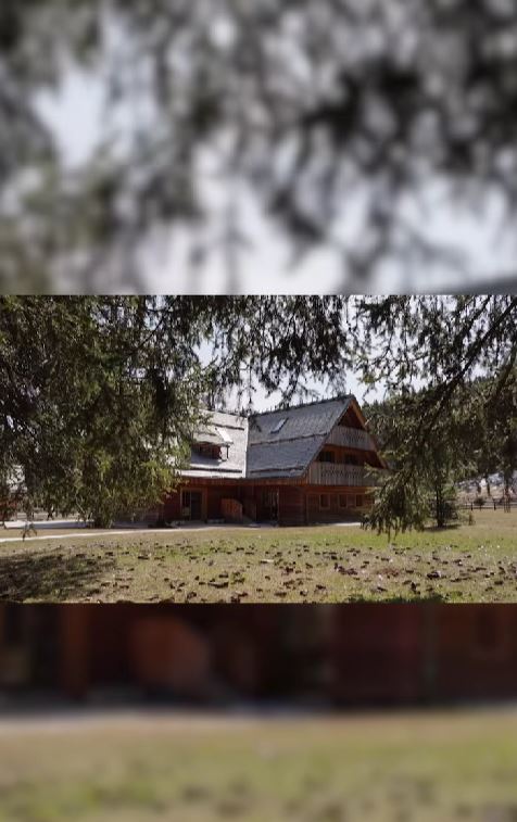 Gorska koča pod vodstvom Miše Koplove