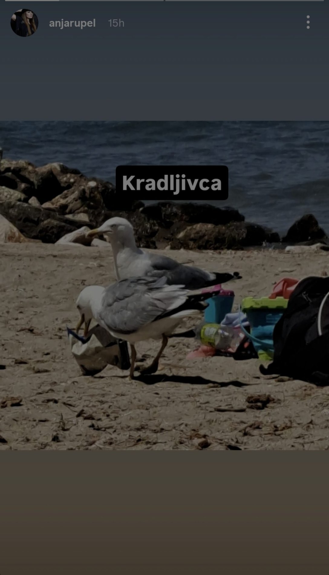 Kradljivca na plaži. Vir:Instagram