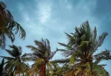Znan slovenski par je na rajskih Maldivih doživel neprijetno izkušnjo Rale na Maldivih