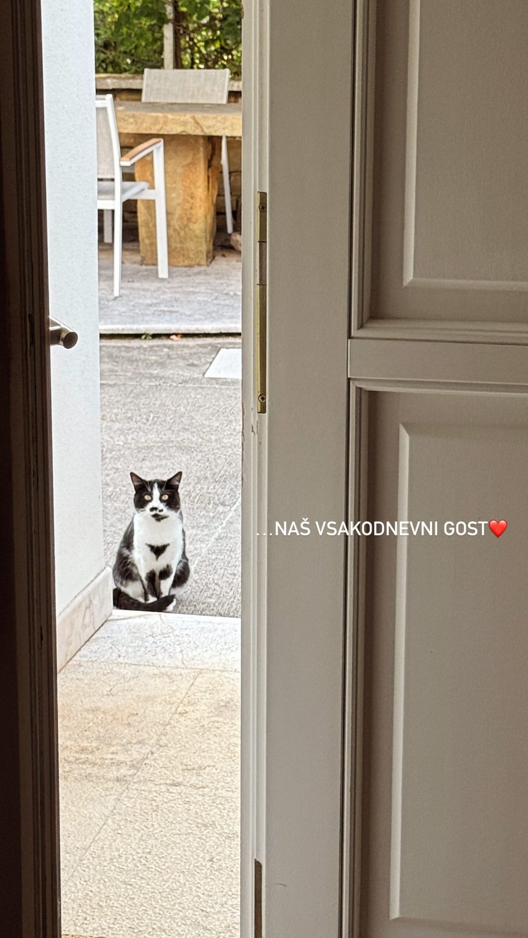 Mali zalezovalec. Vir: Instagram