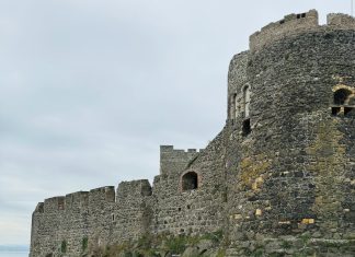 rebekadremelj
