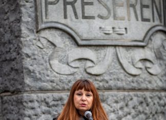 violeta tomič