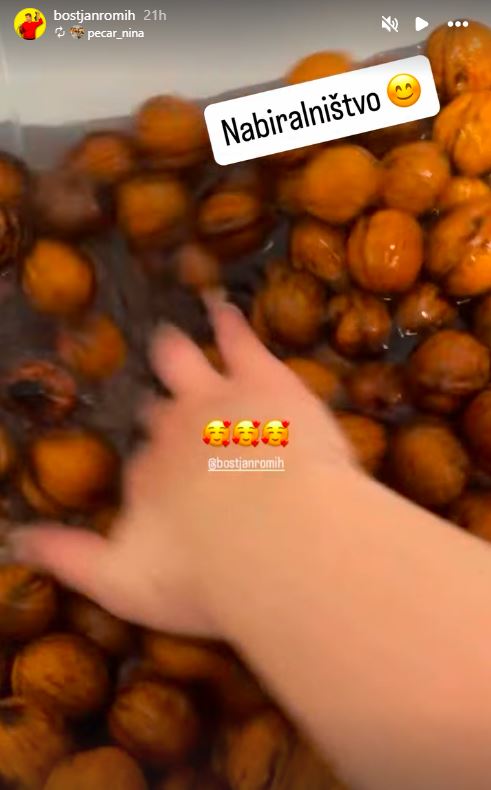 Boštjan Romih je nabiral orehe s svojo drago