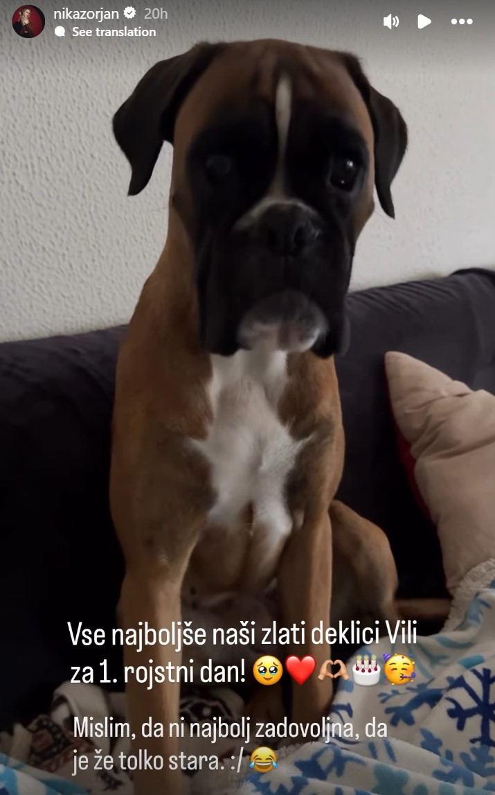 Vila je praznovala prvi rojstni dan