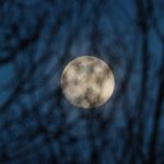 Prva polna luna leta 2026 odkriva resnico in to je vse, kar morate vedeti za svoj horoskopski znak