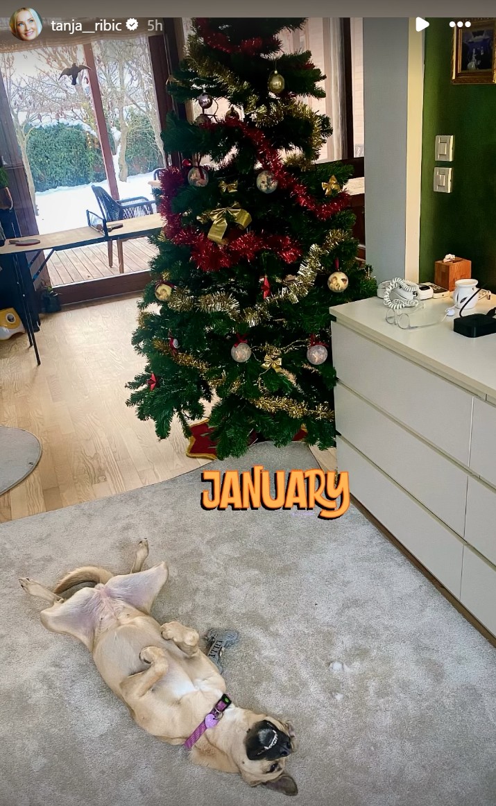 Tanja Ribič in njihov januar. Vir: Instagram