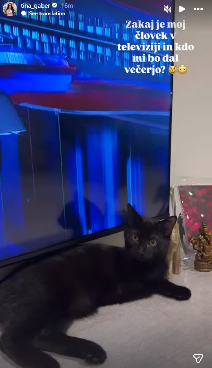 Tina in muc ob televiziji