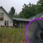Kmetija: Ponoči se je odvijala prava grozljivka, ko so vsi spali, je povzročil požar