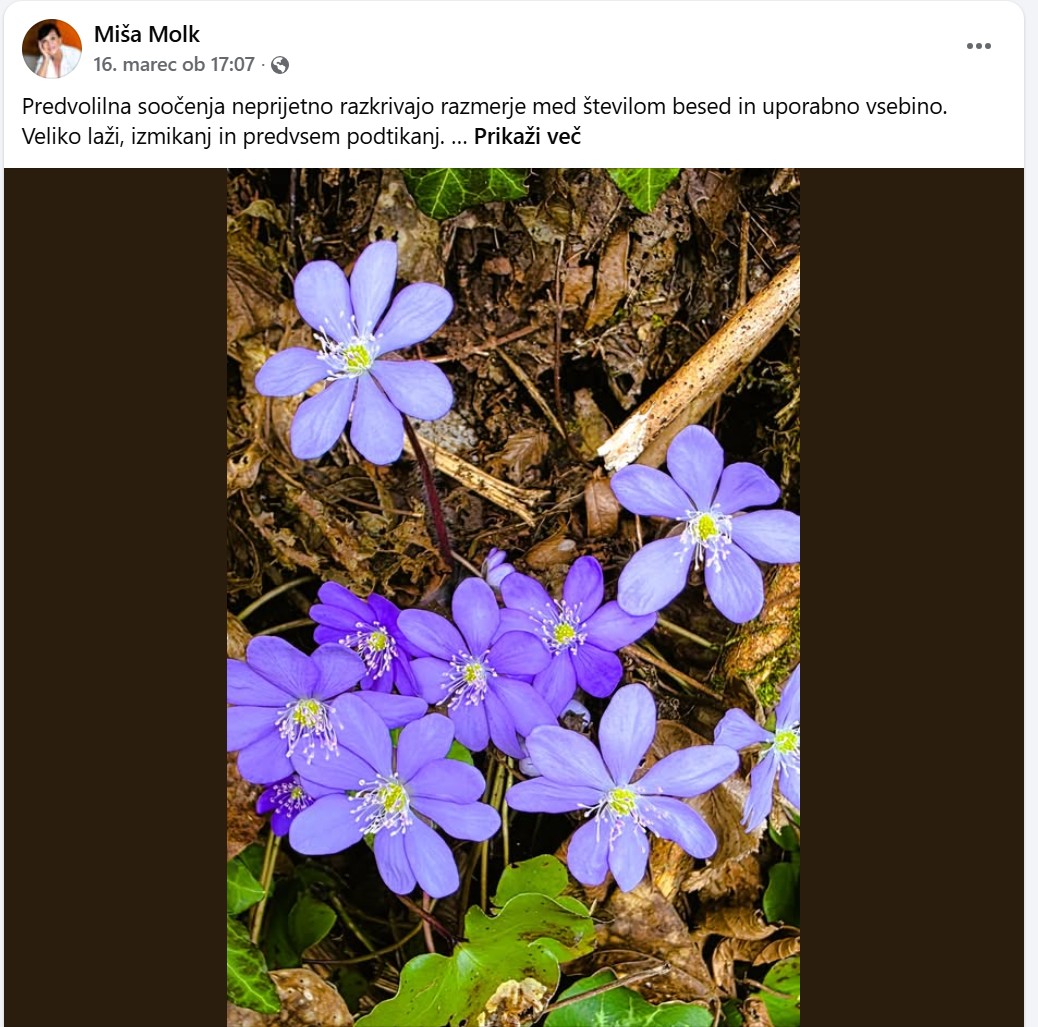 Miša Molk o situaciji