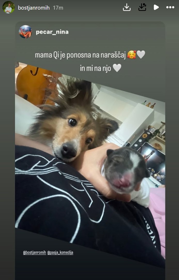 Boštjan in Nina sta se razveselila pasjega naraščaja. Vir: Instagram