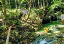 Poletni pobeg v naravo: Čarobni kotički za kopanje v Sloveniji