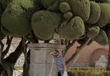 Je Sanjski moški Hrvaška končal klavrno, tukaj je resnica