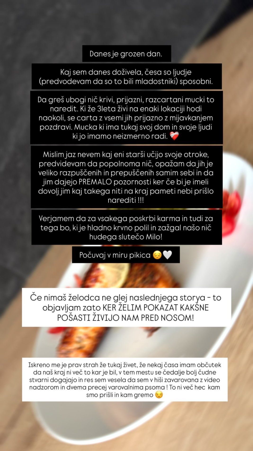 Pretresljiv zapis Urške Gros. Vir: Instagram