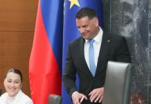 zoran stevanovic