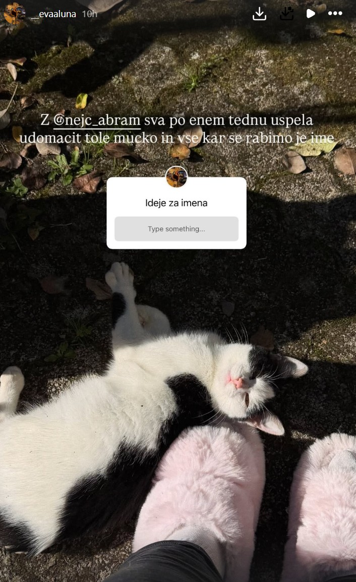 Nov družinski član. Vir: Instagram